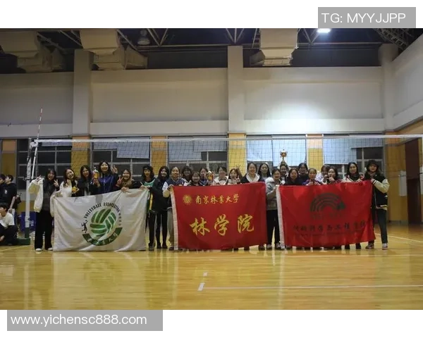 南京排球队比赛经验分析与大满贯点评的深度解读