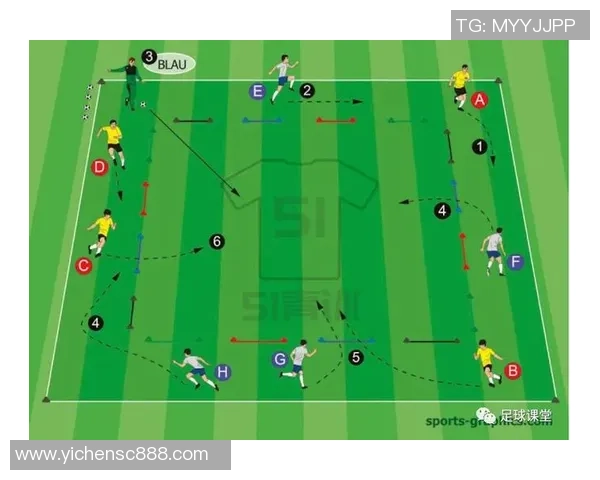 上海足球队灵活性分析与战术调整的深度探讨与展望