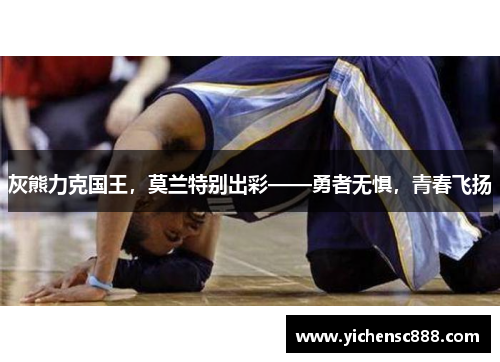 灰熊力克国王，莫兰特别出彩——勇者无惧，青春飞扬