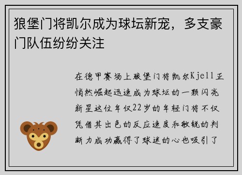 狼堡门将凯尔成为球坛新宠，多支豪门队伍纷纷关注