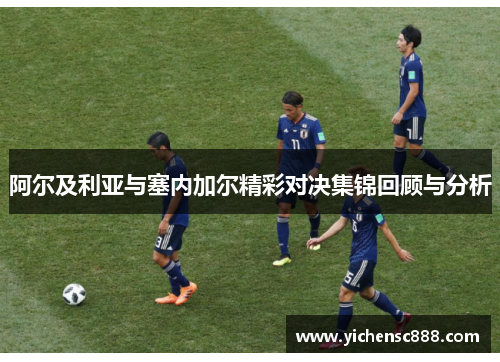 阿尔及利亚与塞内加尔精彩对决集锦回顾与分析