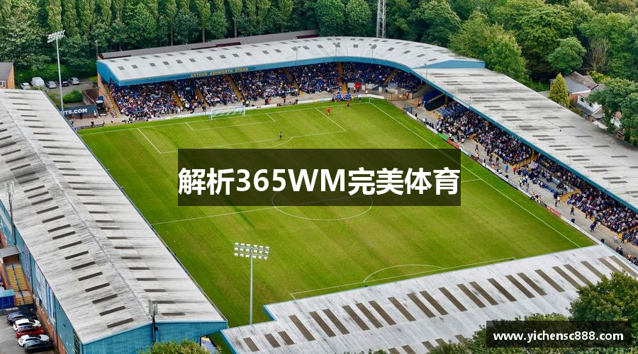 解析365WM完美体育